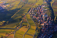 Herbstlicht bunte Reben der Weinberge der Lage Mandelhein in Ranschbach im Bundesland Rheinland-Pfalz, Deutschland