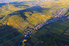 Luftbild von Herbstlicht bunte Reben der Weinberge am Südhang des Haardtrands in Ranschbach im Bundesland Rheinland-Pfalz, Deutschland