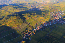 Luftaufnahme von Herbstlicht bunte Reben der Weinberge am Südhang des Haardtrands in Ranschbach im Bundesland Rheinland-Pfalz, Deutschland
