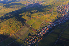 Herbstlicht bunte Reben der Weinberge am Südhang des Haardtrands in Ranschbach im Bundesland Rheinland-Pfalz, Deutschland von oben