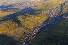Herbstlicht bunte Reben der Weinberge am Südhang des Haardtrands in Ranschbach im Bundesland Rheinland-Pfalz, Deutschland aus der Luft