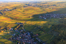 Luftbild von Hotel Leinsweiler Hof zwischen berbstlicht bunten Weinbergen im Bundesland Rheinland-Pfalz, Deutschland