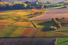 Herbstlicht bunte Reben der Weinberge bis Oberhausen im Ortsteil Drusweiler in Kapellen-Drusweiler im Bundesland Rheinland-Pfalz, Deutschland