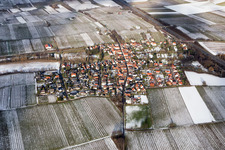 Winterlich schneebedeckte Dorf - Ansicht am Rande von landwirtschaftlichen Feldern und Nutzflächen in Knöringen im Bundesland Rheinland-Pfalz, Deutschland