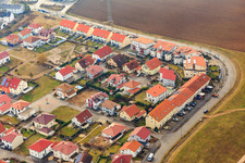 Am Höhenweg im Winter ohne Schnee in Kandel im Bundesland Rheinland-Pfalz, Deutschland