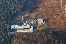 Luftaufnahme von US-Antennenanlage der IBB International Broadcasting Bureau Transmitter Station Lampertheim im Ortsteil Neuschloß im Bundesland Hessen, Deutschland