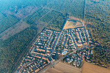 Luftbild von Biotop im Ortsteil Neuschloß in Lampertheim im Bundesland Hessen, Deutschland