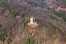 Ruine und Mauerreste der ehemaligen Burganlage Ramburg in Ramberg im Bundesland Rheinland-Pfalz, Deutschland
