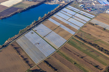 Betonsee im Ortsteil Wiesental in Waghäusel im Bundesland Baden-Württemberg, Deutschland