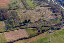 Luftbild von Grabreihen auf dem Gelände des Friedhofes in Ettendorf in Grand Est im Bundesland Bas-Rhin, Frankreich