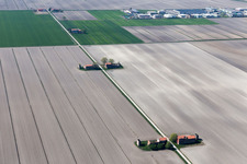 Luftbild von Zecchetto im Bundesland Venetien, Italien