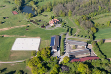 Am Froeschenberg, Haras Lerchenberg in Gundershoffen im Bundesland Bas-Rhin, Frankreich