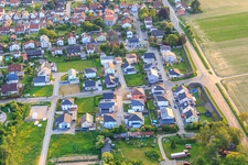 Im Holderbusch aus Osten in Minfeld im Bundesland Rheinland-Pfalz, Deutschland