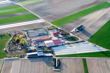 Am Brünnel in Waldsee im Bundesland Rheinland-Pfalz, Deutschland
