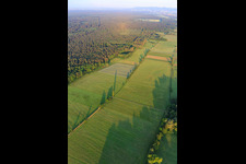Otterbachniederung im Bienwald in Freckenfeld im Bundesland Rheinland-Pfalz, Deutschland
