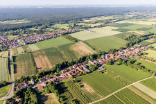 Dorf - Ansicht am Rande von landwirtschaftlichen Feldern und Nutzflächen in Vollmersweiler im Bundesland Rheinland-Pfalz, Deutschland