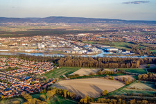 Rheinauhafen von Westen in Mannheim im Bundesland Baden-Württemberg, Deutschland