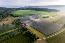 Obstplantagen unter Schutznetzen im Ortsteil Güttingen in Radolfzell am Bodensee im Bundesland Baden-Württemberg, Deutschland