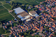 Sektkellerei Schloss Wachenheim AG und Böchinger Schloss in Böchingen im Bundesland Rheinland-Pfalz, Deutschland