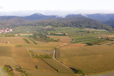 Ortsteil Rechtenbach in Schweigen-Rechtenbach im Bundesland Rheinland-Pfalz, Deutschland aus der Luft betrachtet
