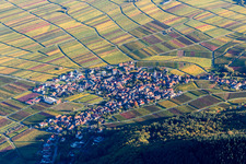 Luftbild von Weinbergs- Landschaft der Pfälzer Weinstraße bei Weyher in der Pfalz im Bundesland Rheinland-Pfalz, Deutschland