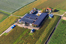 Weinhaus Pfaffmann Impflingen im Bundesland Rheinland-Pfalz, Deutschland