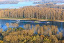 Schüttgutfrachtschiff auf dem Rhein in Linkenheim-Hochstetten im Bundesland Baden-Württemberg, Deutschland