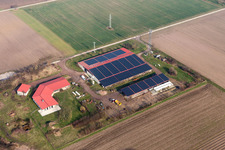 Aussiedlerhof in Erlenbach bei Kandel im Bundesland Rheinland-Pfalz, Deutschland