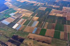 Obstplantage und Felder im Tiefen-Tal im Ortsteil Mühlhofen in Billigheim-Ingenheim im Bundesland Rheinland-Pfalz, Deutschland