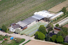 Obst-und Gemüsehof Zapf in Kandel im Bundesland Rheinland-Pfalz, Deutschland