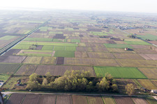 Paludo di Latisana im Bundesland Friaul-Julisch Venetien, Italien