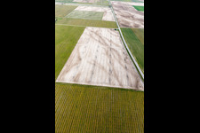 Luftaufnahme von Rauscedo-Domanins im Bundesland Friaul-Julisch Venetien, Italien