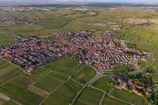 Maikammer im Bundesland Rheinland-Pfalz, Deutschland aus der Luft