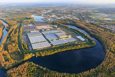 Luftaufnahme von Insel Grün im Lingenfelder Altrhein mit Mercedes-Benz Global Logistics Center und MOSOLF Logistics & Services GmbH in Germersheim im Bundesland Rheinland-Pfalz, Deutschland