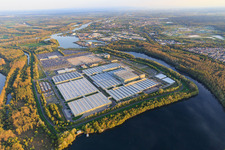 Schrägluftbild von Insel Grün im Lingenfelder Altrhein mit Mercedes-Benz Global Logistics Center und MOSOLF Logistics & Services GmbH in Germersheim im Bundesland Rheinland-Pfalz, Deutschland