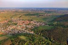 Stadtansicht aus Norden mit Wachtenburg (Ruine Burg Wachenheim) in Wachenheim an der Weinstraße im Bundesland Rheinland-Pfalz, Deutschland