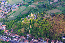 Luftaufnahme von Wehrmauer zur Wachtenburg (Ruine "Burg Wachenheim") in Wachenheim an der Weinstraße im Bundesland Rheinland-Pfalz, Deutschland