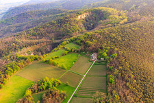 Basaltsee im Naturschutzgebiet Pechsteinkopf am Alten Forster Basalt-Steinbruch in Forst an der Weinstraße im Bundesland Rheinland-Pfalz, Deutschland