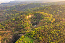 Luftbild von Basaltsee im Naturschutzgebiet Pechsteinkopf am Alten Forster Basalt-Steinbruch in Forst an der Weinstraße im Bundesland Rheinland-Pfalz, Deutschland
