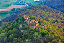 Luftbild von Burgruine Madenburg auf einem herbstlich verfärbten Berg des Pfälzerwalds aus Norden in Eschbach im Bundesland Rheinland-Pfalz, Deutschland