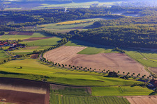 Geschwungene Allee an der Ith-Straße im Ortsteil Capellenhagen in Duingen im Bundesland Niedersachsen, Deutschland