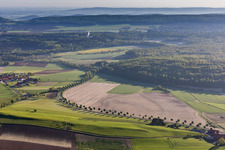 Baumreihe an einer Landstraße an einem Feldrand in Capellenhagen im Ortsteil Fölziehausen in Duingen im Bundesland Niedersachsen, Deutschland