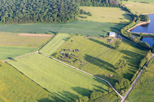 Vibersviller, Camions militaires im Bundesland Moselle, Frankreich