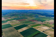 Windpark Minfeld im Bundesland Rheinland-Pfalz, Deutschland