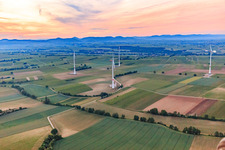 Luftbild von Windpark Freckenfeld im Bundesland Rheinland-Pfalz, Deutschland