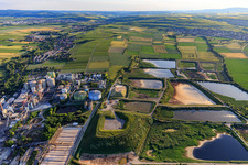 Schrägluftbild von Südzucker AG in Obrigheim im Bundesland Rheinland-Pfalz, Deutschland