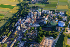 Südzucker AG in Obrigheim im Bundesland Rheinland-Pfalz, Deutschland von oben