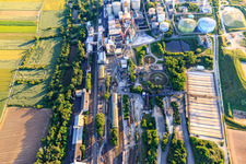 Südzucker AG in Obrigheim im Bundesland Rheinland-Pfalz, Deutschland aus der Luft