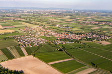 Dirmstein im Bundesland Rheinland-Pfalz, Deutschland