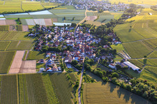 Ortsansicht aus Osten in Bissersheim im Bundesland Rheinland-Pfalz, Deutschland